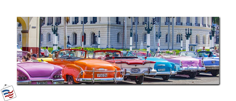 Timeless Rides - A Symphony of Classic Cars