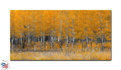 Golden Aspens - Autumn‚Äôs Vibrant Glow