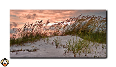 Golden Hour - Beach Serenity Wall Art