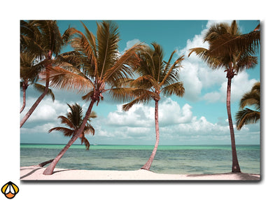 Palm Reflections - Tropical Serenity Art
