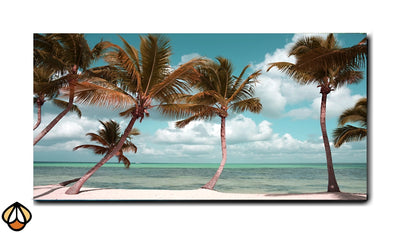 Tropical Serenity - Palm Beach Bliss Wall Art