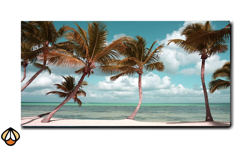 Tropical Serenity - Palm Beach Bliss Wall Art