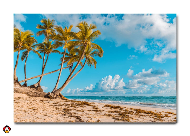 Golden Sands - Ocean Breeze Canvas Art