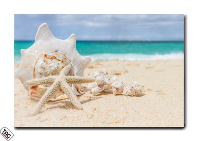 Whispers of the Shore – Beachside Elegance