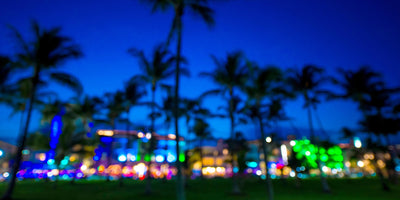 Miami Beach at Twilight – A Neon Dream