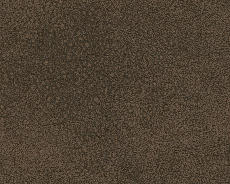 Next-Gen Durapella Living Room