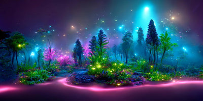 Enchanted Bioluminescent Haven