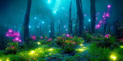 Mystical Forest of Lights