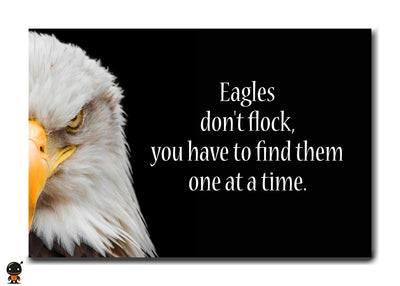 Eagles Don‚Äôt Flock - The Pursuit of Excellence