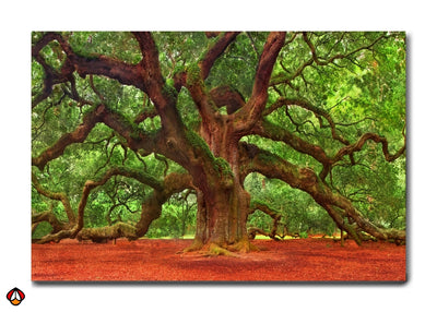 The Timeless Oak - Nature's Majestic Giant