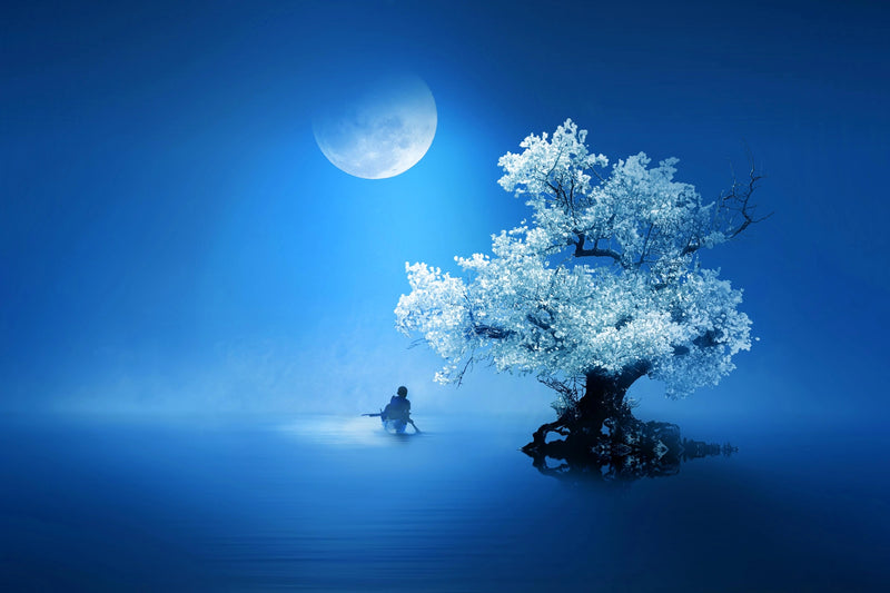 Lunar Reflection - Premium Wall Art