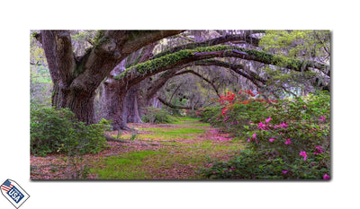Enchanted Garden Path - Premium Wall Art