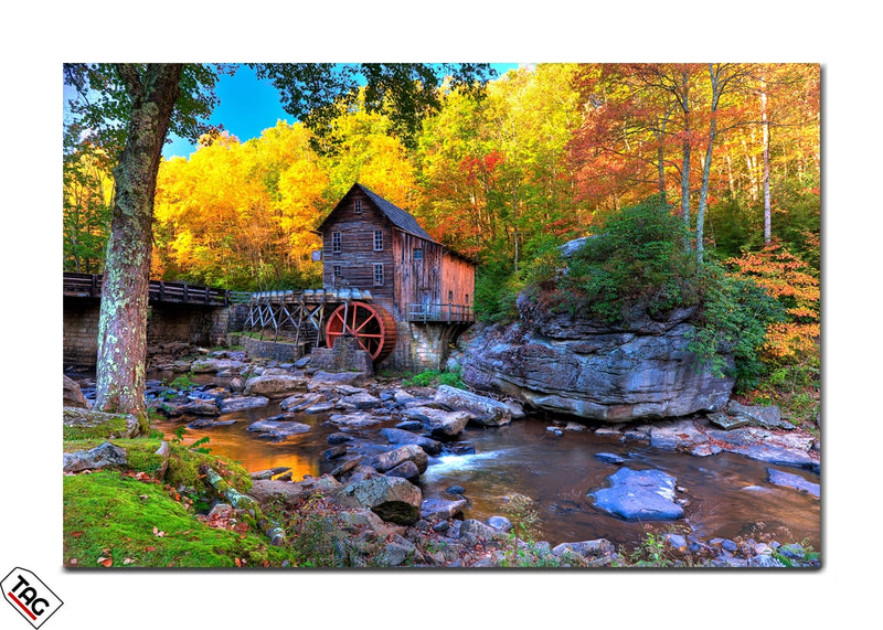 Autumn Bliss - The Grist Mill‚Äôs Golden Glow