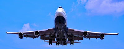 Soaring High - Premium Wall Art