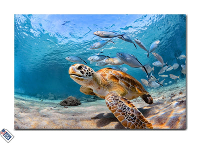 Marine Majesty - Graceful Sea Turtle Wall Art