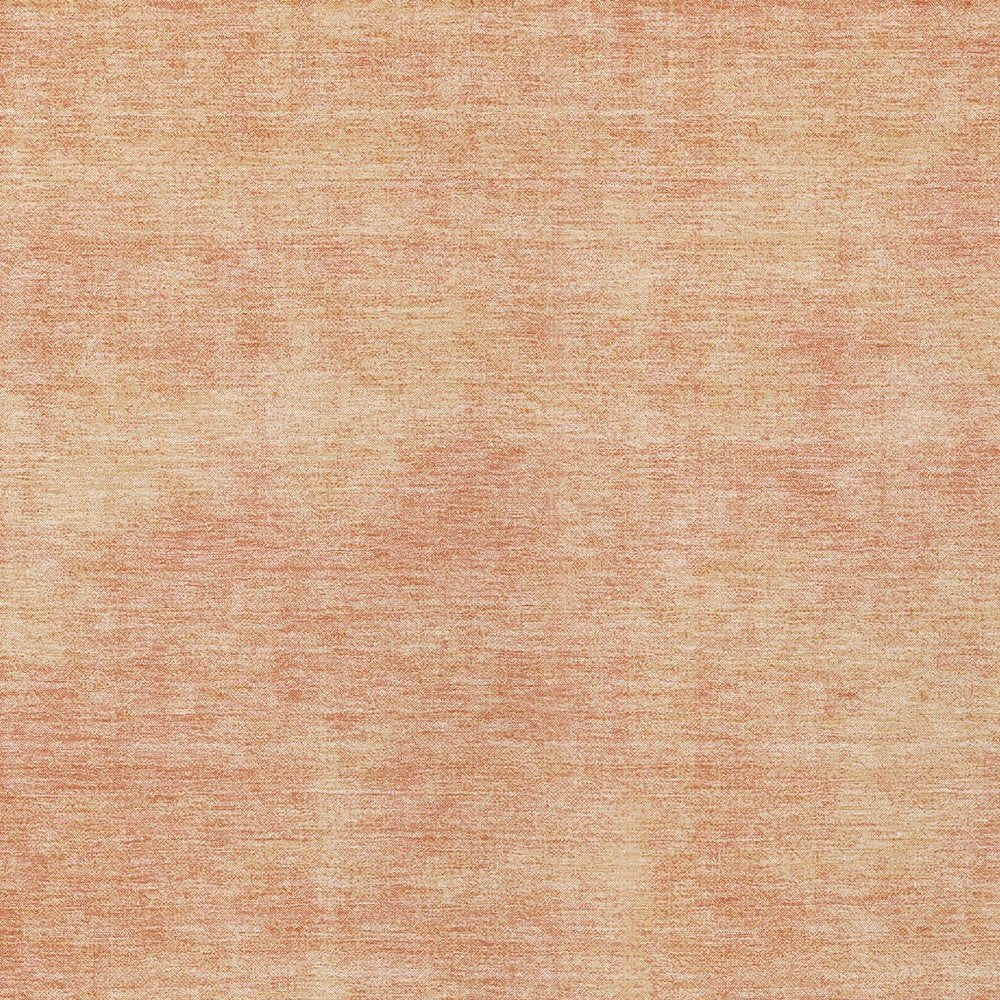 3' X 5' Peach Washable Indoor Outdoor Area Rug
