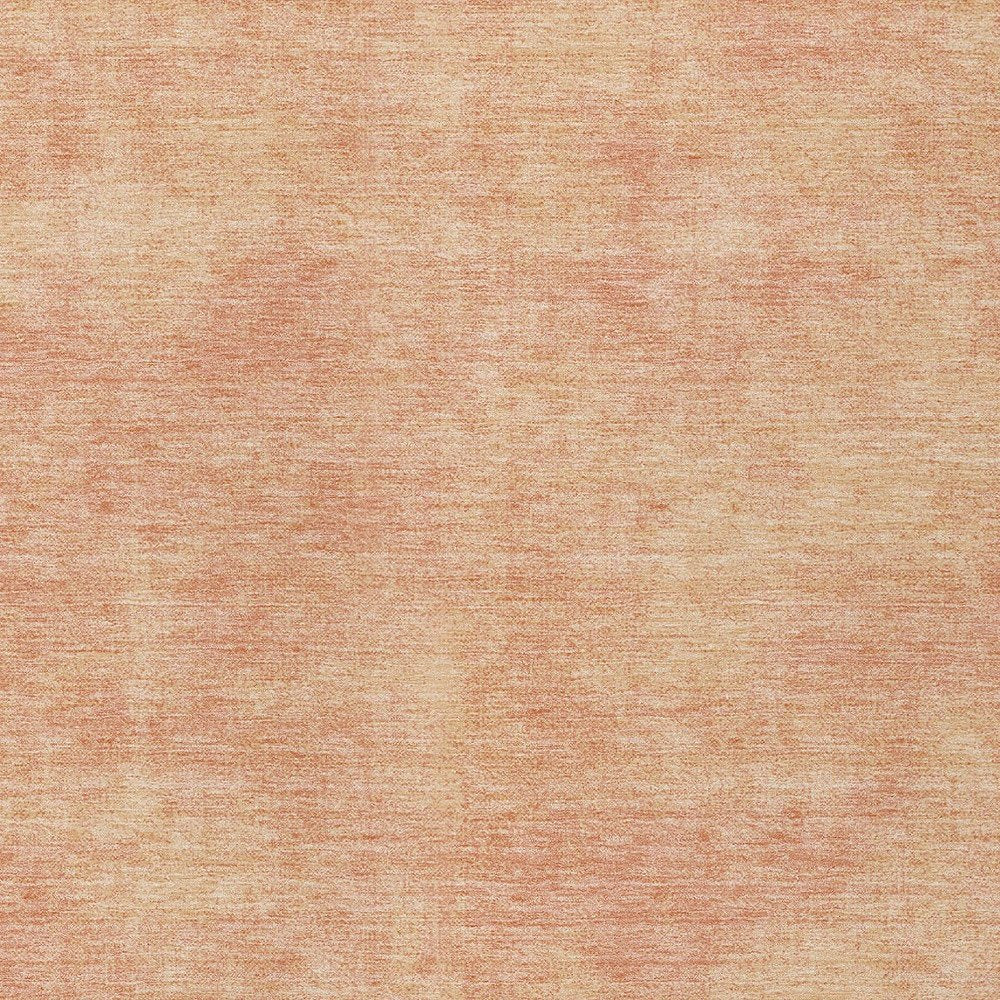 3' X 5' Peach Washable Indoor Outdoor Area Rug
