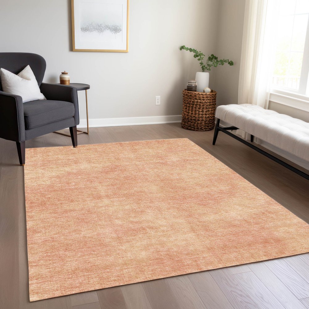 3' X 5' Peach Washable Indoor Outdoor Area Rug