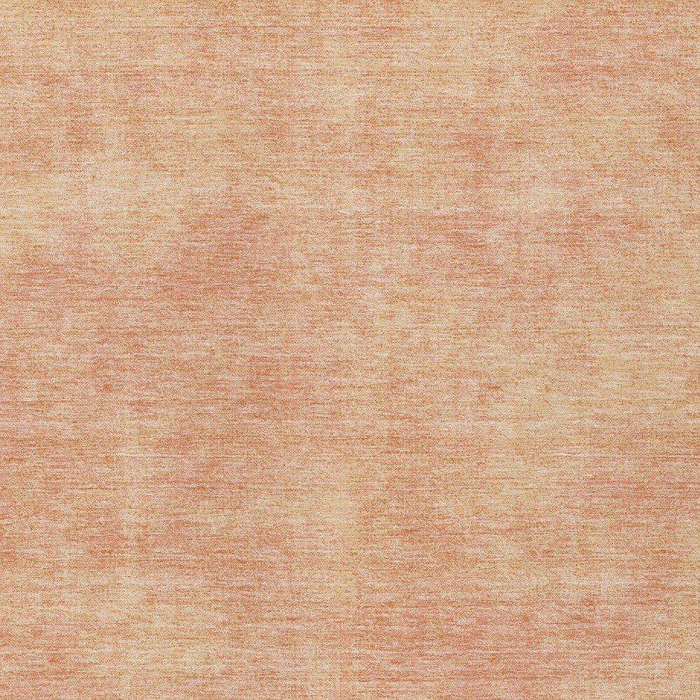 3' X 5' Peach Washable Indoor Outdoor Area Rug