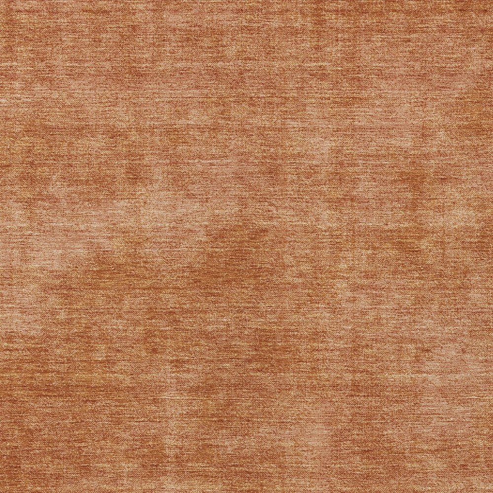 3' X 5' Brown Washable Indoor Outdoor Area Rug