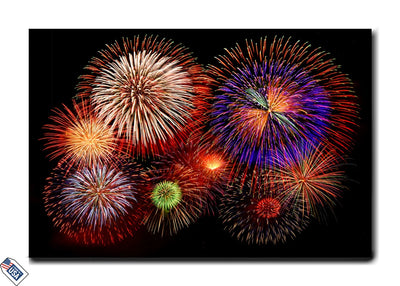 Burst of Celebration - Fireworks Display