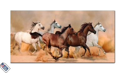 Desert Sprint - The Beauty of Unity