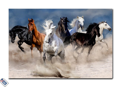 Wild Symphony - The Gallop of Freedom