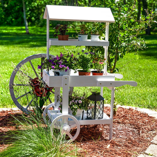 49" White Solid Wood Garden Art