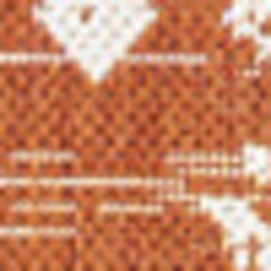 9' X 12' Orange And Cream Trellis Indoor Outdoor Area Rug