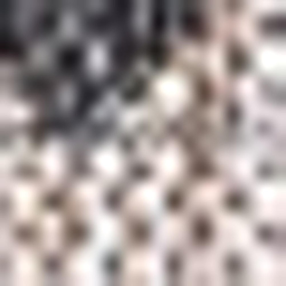 3' Natural And Black Square Trellis Indoor Outdoor Area Rug