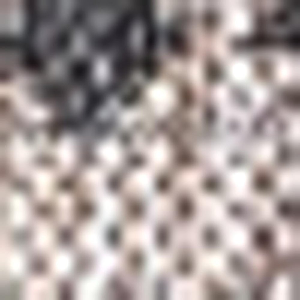3' Natural And Black Square Trellis Indoor Outdoor Area Rug