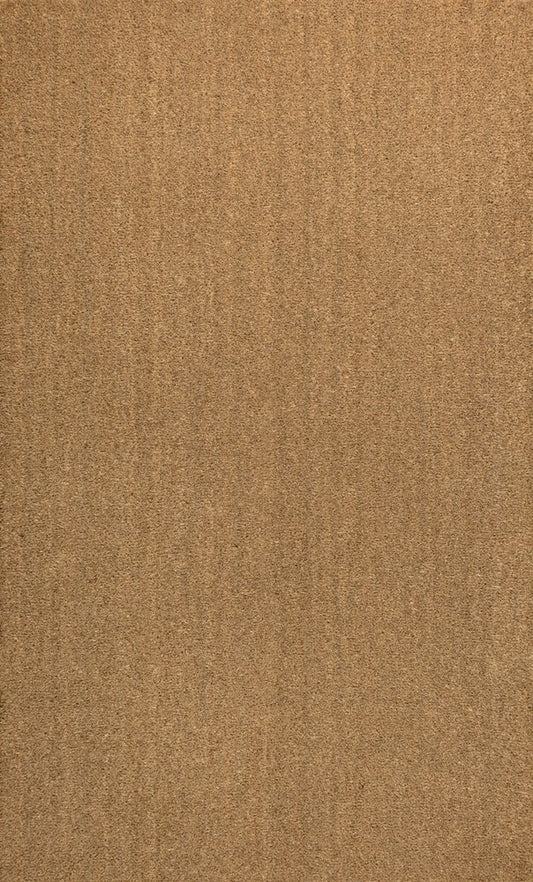2' X 4' Light Brown Indoor Outdoor Area Rug