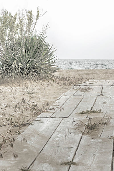 Seaside Pathway - Premium Wall Art