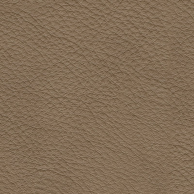 Veronella Living Room