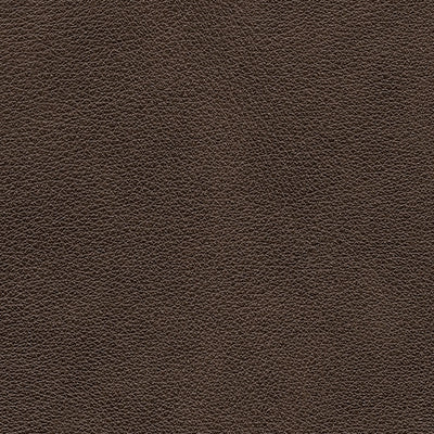 Crossplex Living Room